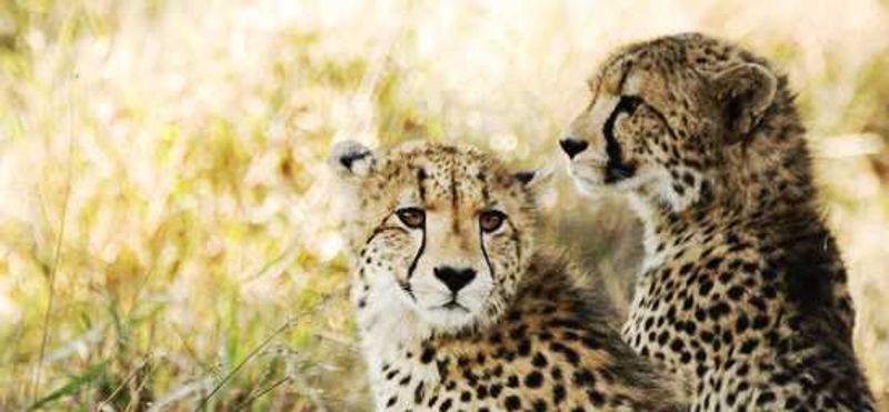 Behind the lens - Sian Bester