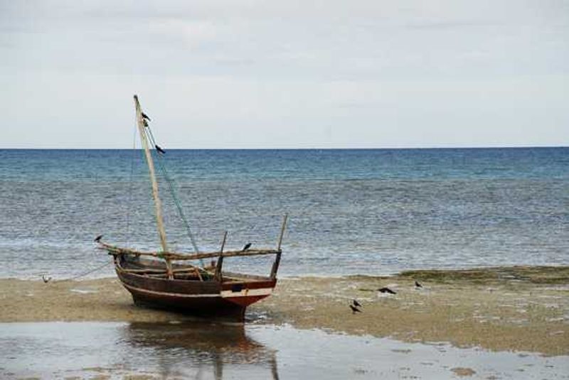 When the tide goes out, boats are left abandonned on shore, Zanzibar