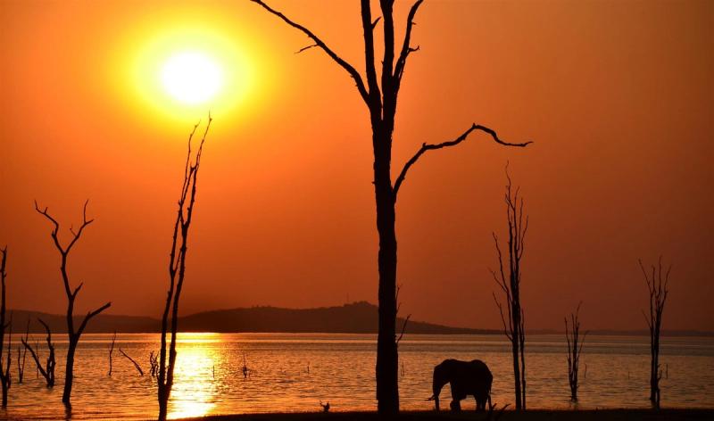 An elephant on the banks of Lake Kariba, making for one of the most amazing Zimbabwe Safari sights