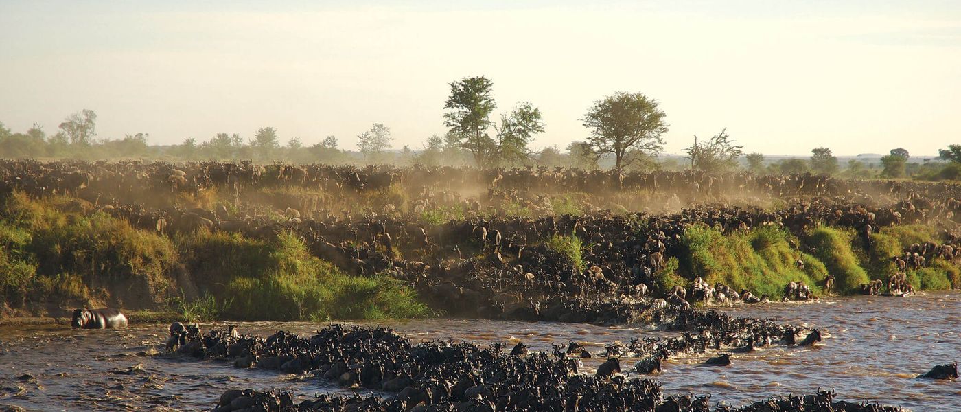 Your Guide to Experiencing the Great Migration in Tanzania