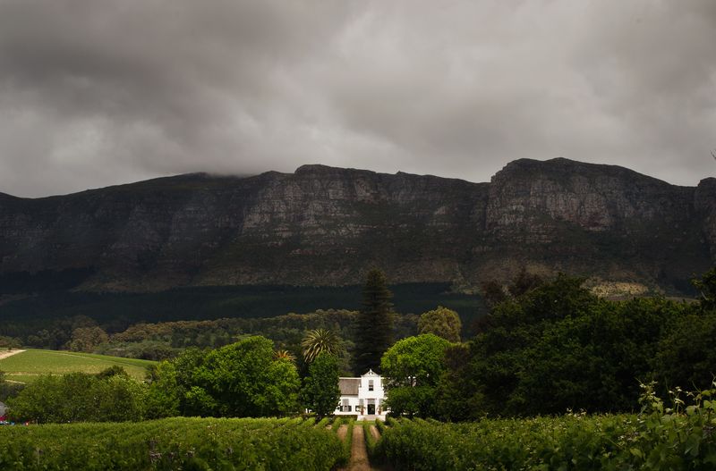 Ferme des vignobles de Constantia