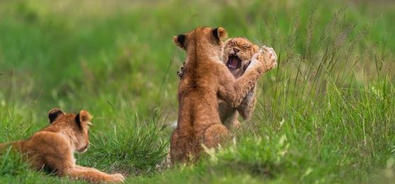 Mes 20 photographies africaines préférées