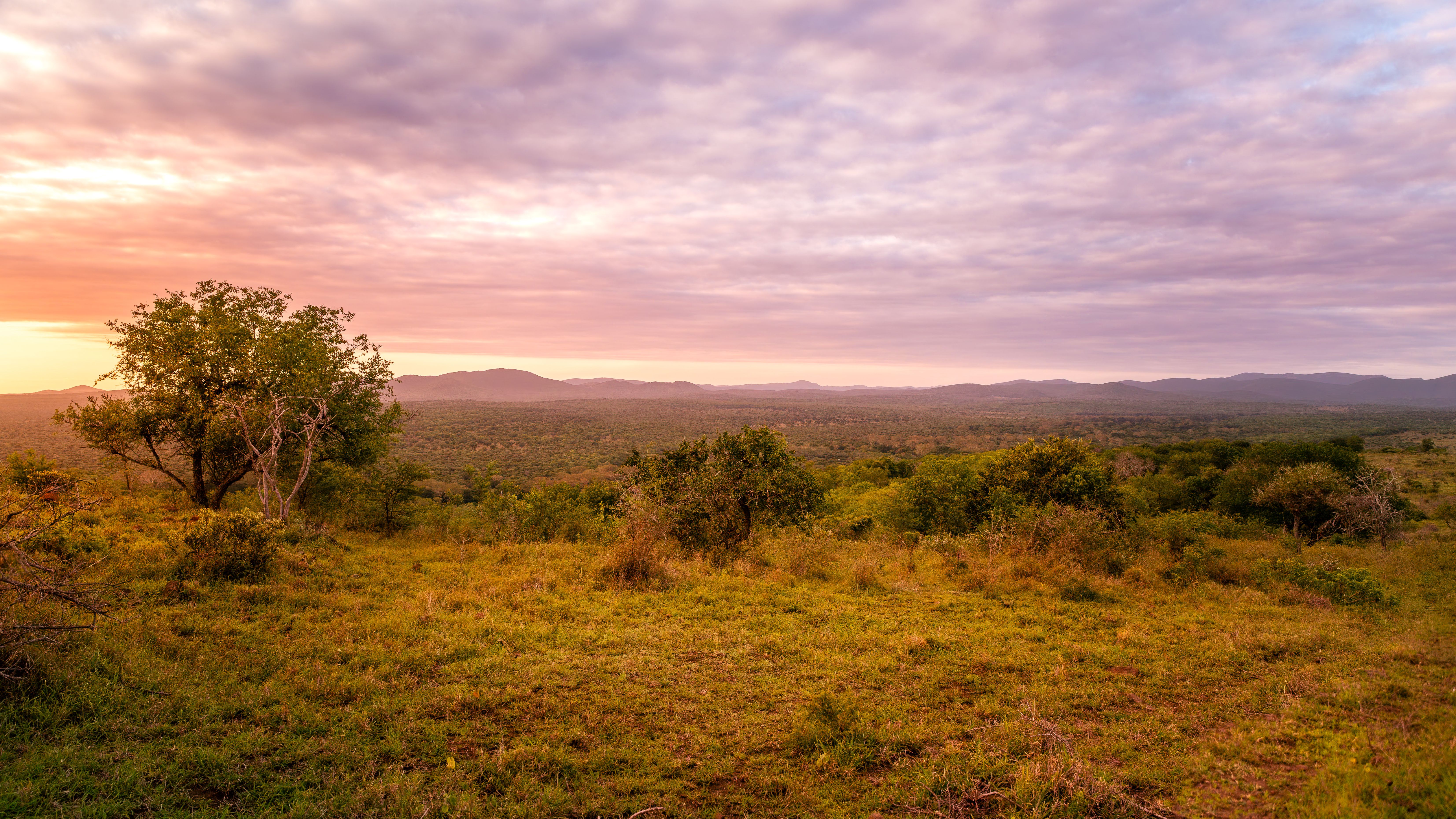 Die besten Safaris in KwaZulu-Natal