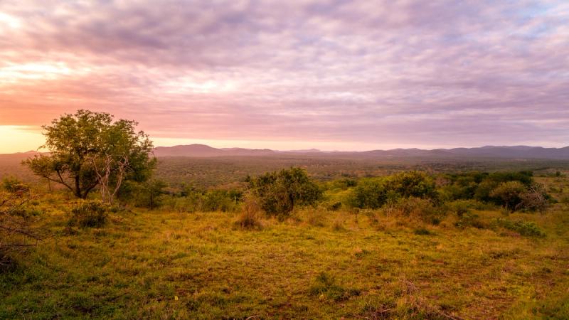 Landscape of Manyoni Reserve during sunset