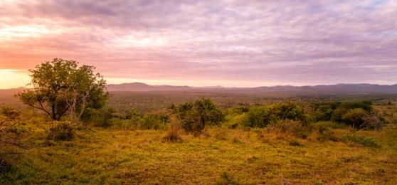 Die besten Safaris in KwaZulu-Natal