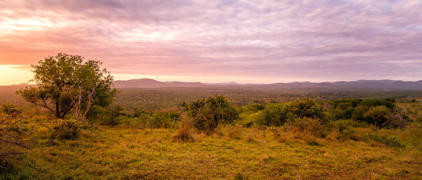 Die besten Safaris in KwaZulu-Natal