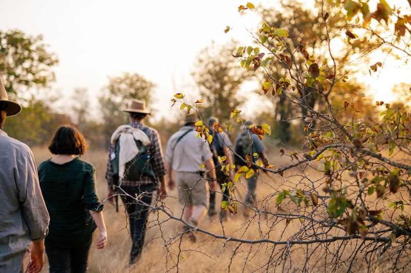 A group of people dressed in neutral tones walk through dry grass under the warm afternoon sun.
