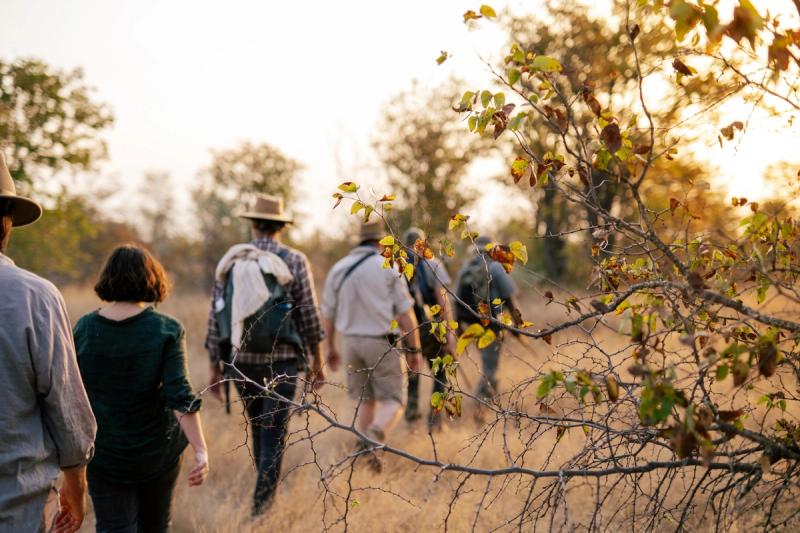 A group of people dressed in neutral tones walk through dry grass under the warm afternoon sun.