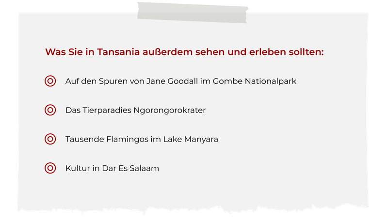 Was Sie in Tansania ausserdem sehen und erleben sollten