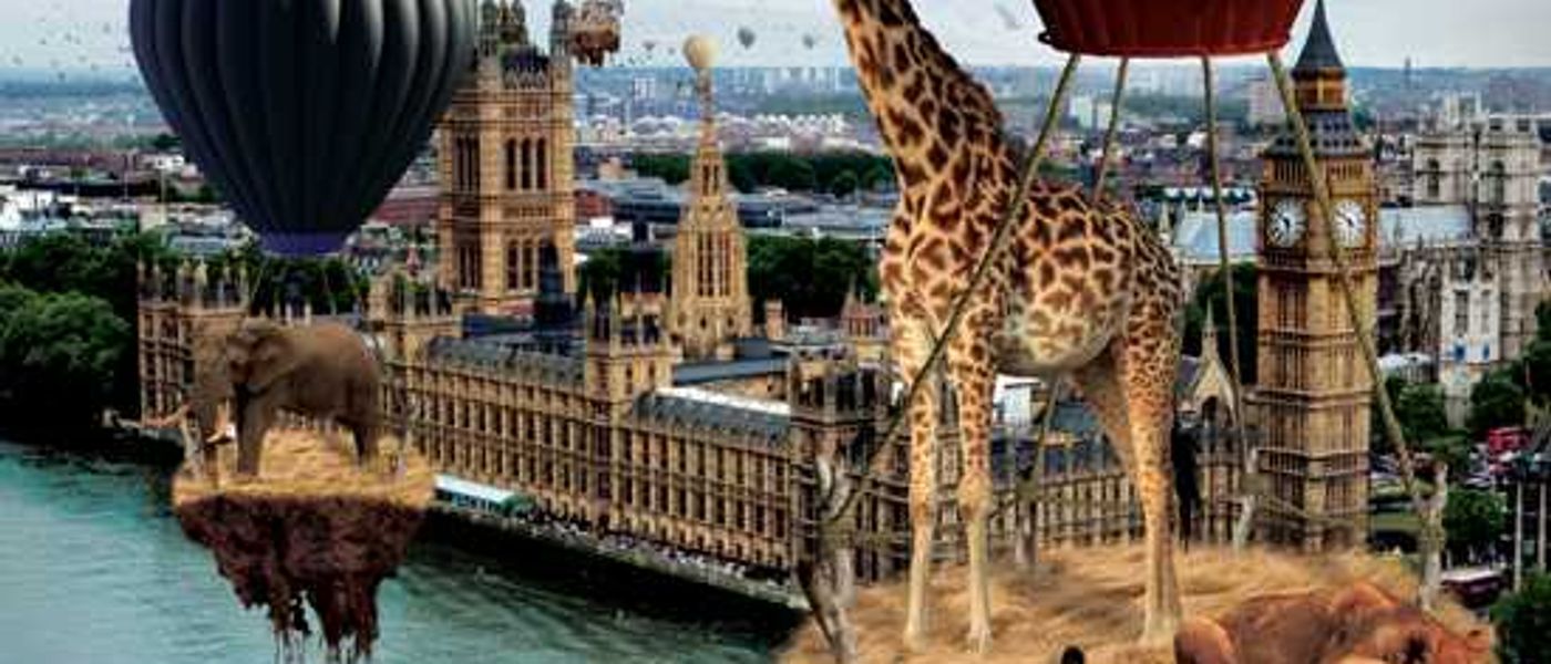 Why Travel To Africa With A Tour Operator?