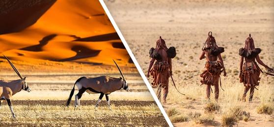 Top 5 Destinations for African Safari and Culture Tours