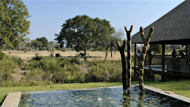 View from the lodge's main area looking out at the waterhole and surrounding elephants
