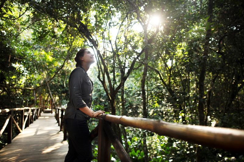 Woman on a wooden bridge admiring the forest that surrounds her