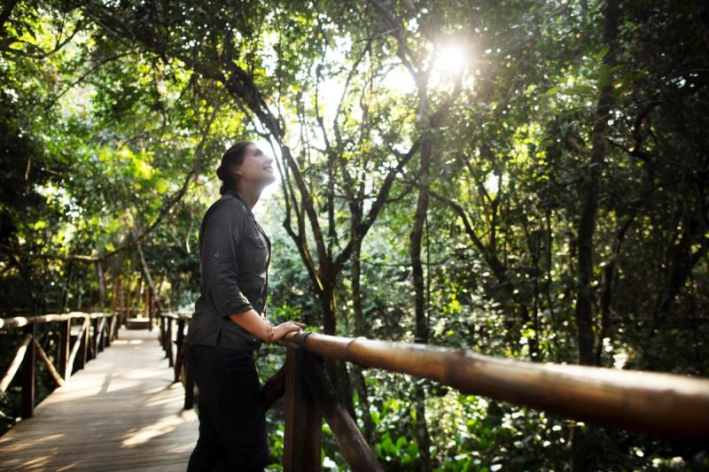 Woman on a wooden bridge admiring the forest that surrounds her