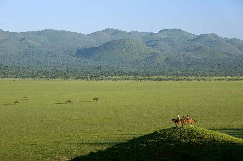 View of the Great Migration on horseback 