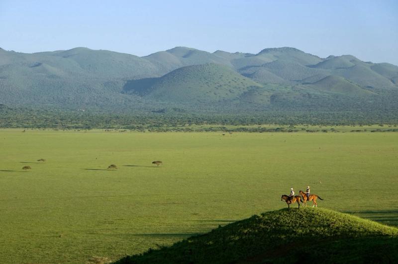 View of the Great Migration on horseback
