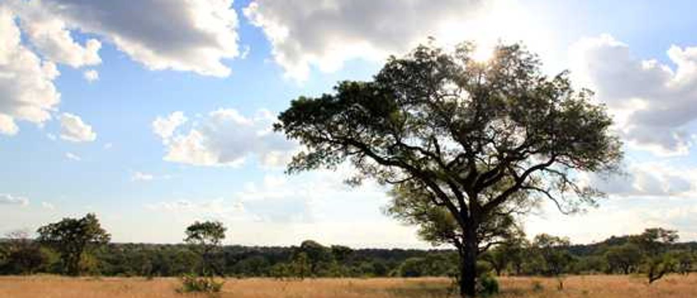 Londolozi Private Game Reserve on CNN!