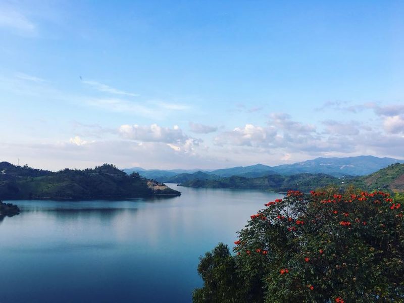 Lac Kivu à l'Est du Rwanda, ses colines verdoyantes et ses arbres colorés.