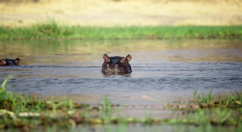 Botswana | Okavango