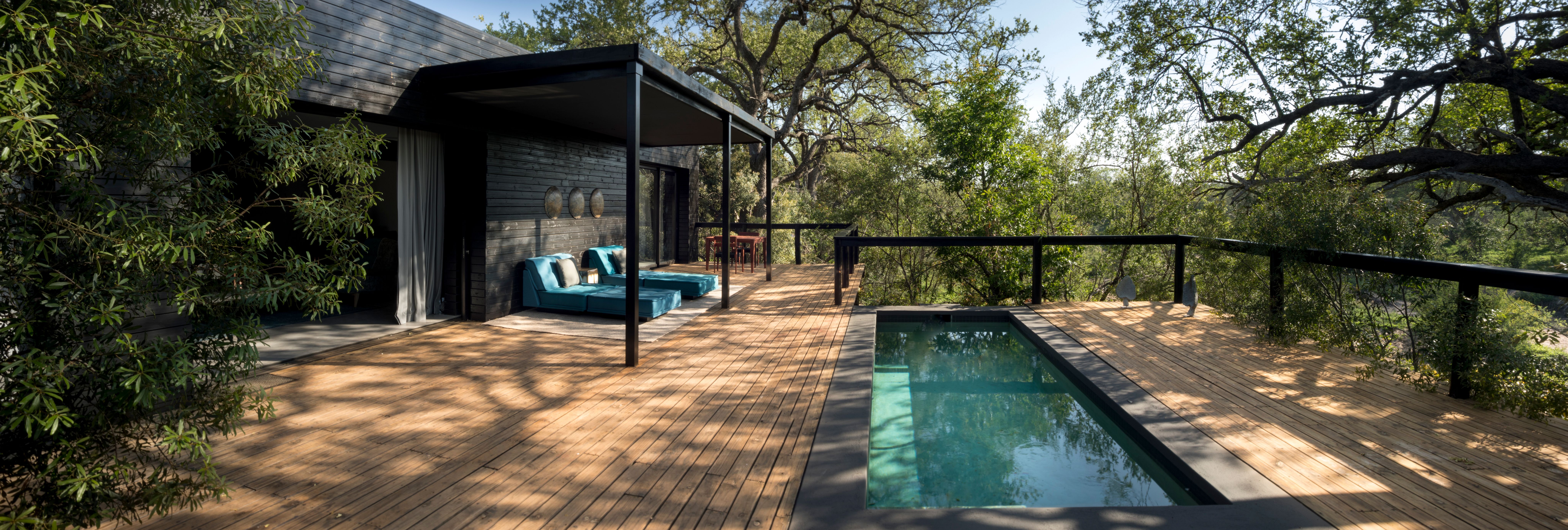 Out With the Old, in With the New: Silvan Safari Blog