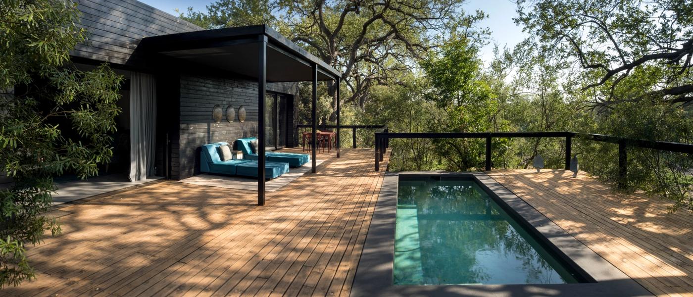 Out With the Old, in With the New: Silvan Safari Blog