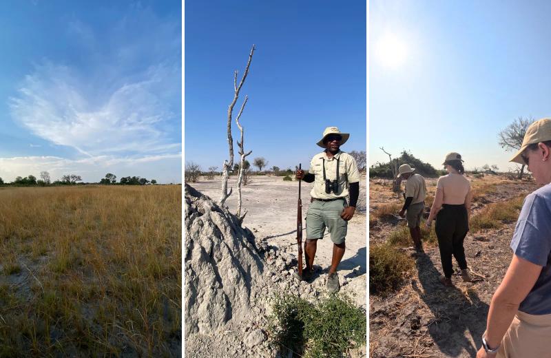 Walking safari guide explaining a termite mound during a Botswana bush walk.