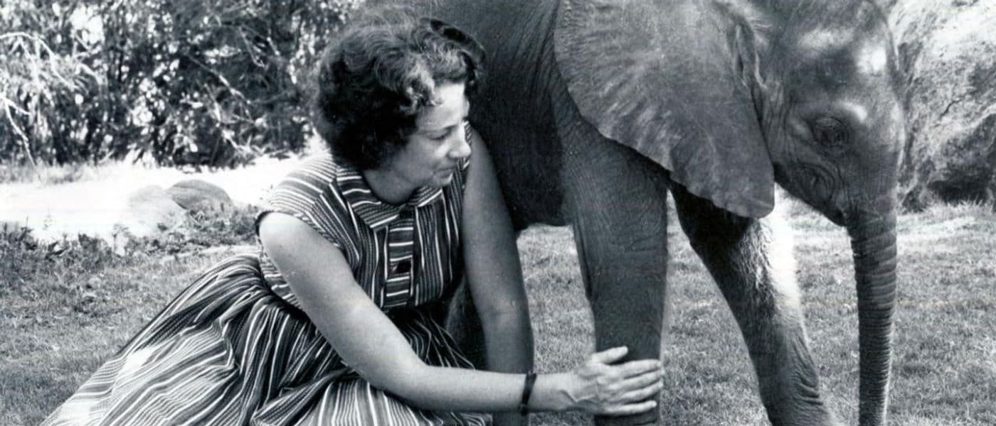 A Tribute To Dame Daphne Sheldrick: 1934 - 2018