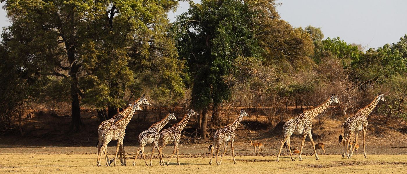 Voluntariado en África: súmate al turismo sostenible