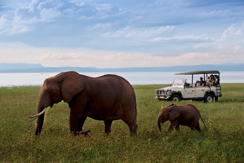 Game drive with Bumi Hills in Kariba