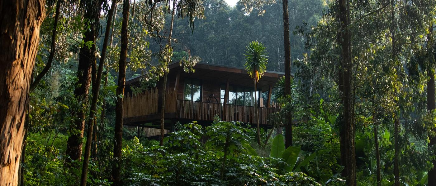 Los mejores alojamientos para Gorilla Trekking en África