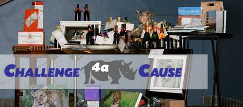 A Celebration for Challenge4aCause