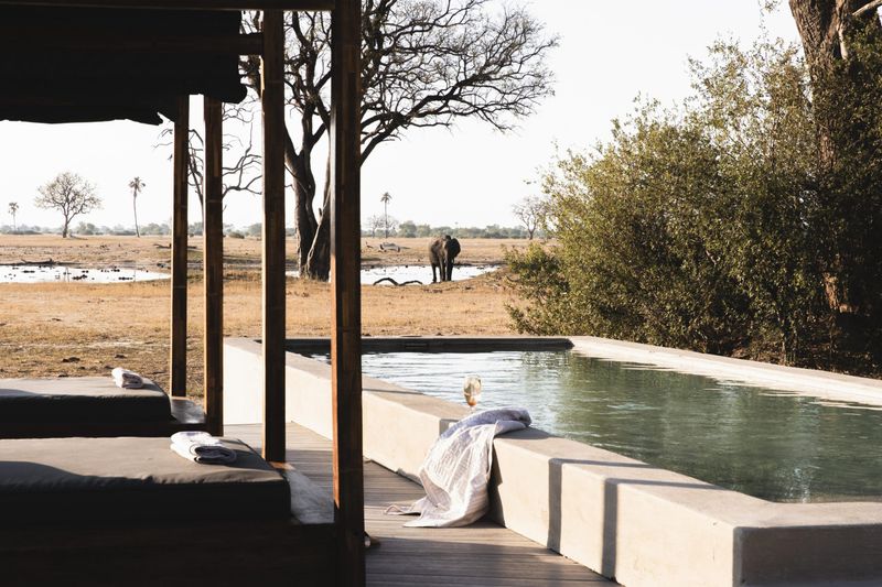 Poolside view from Wilderness Linkwasha across Hwange National Park’s open plains.