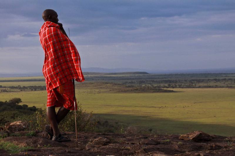 Um guerreiro Masaai olha para as planícies