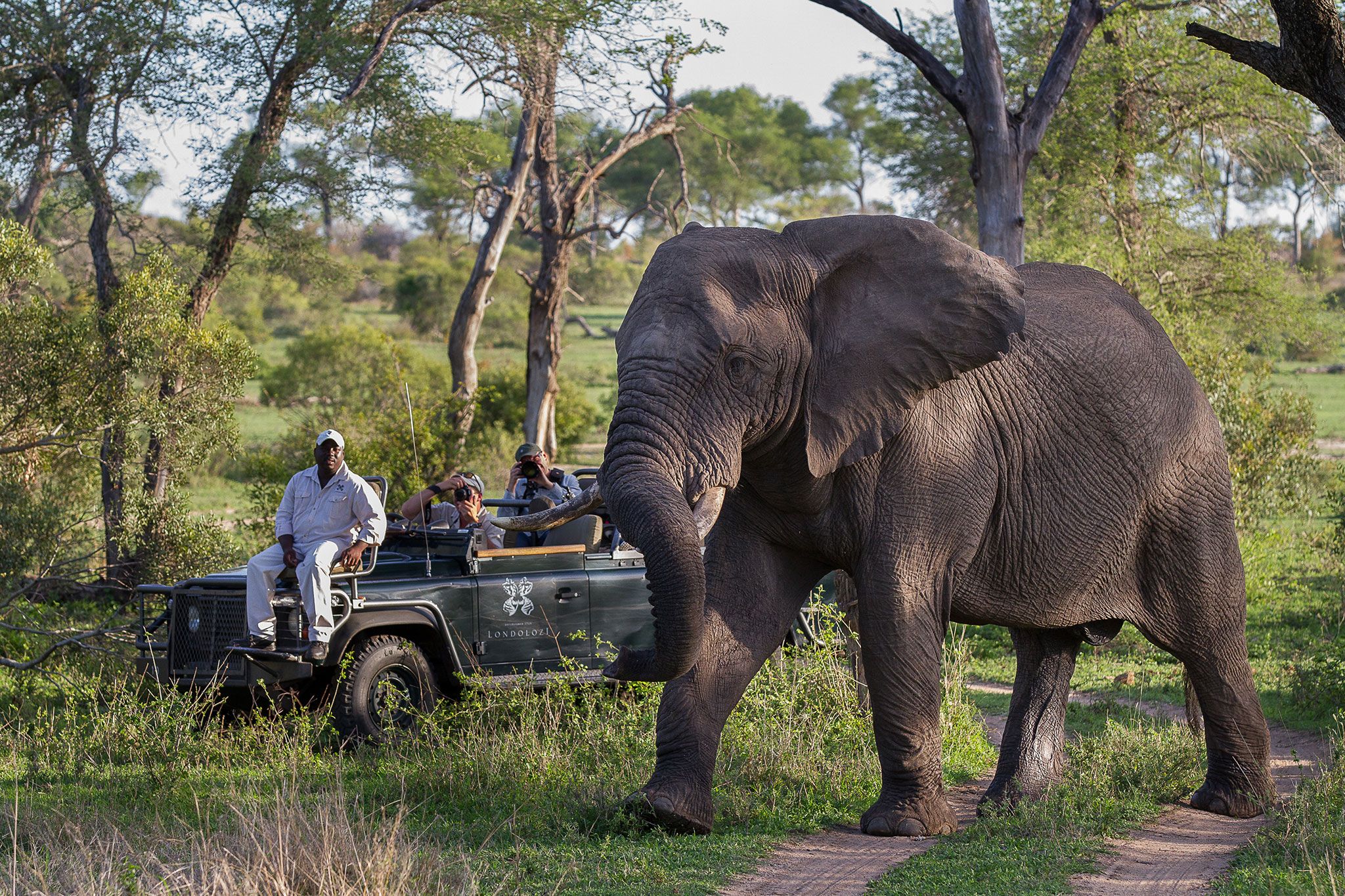Win Your Dream African Safari and Make a Lasting Difference