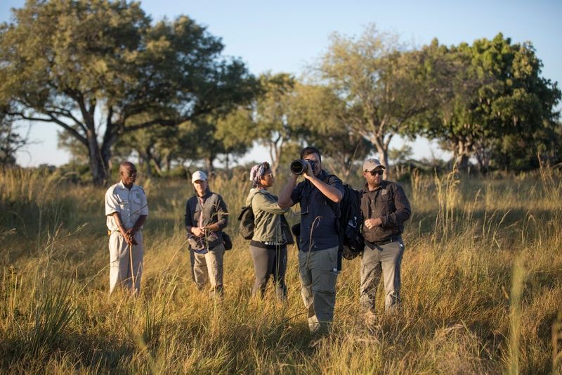 Local guide leading guests on a walking tour in Botswana’s Moremi, Okavango Delta – showcasing educational, low-impact tourism that supports conservation and community development.