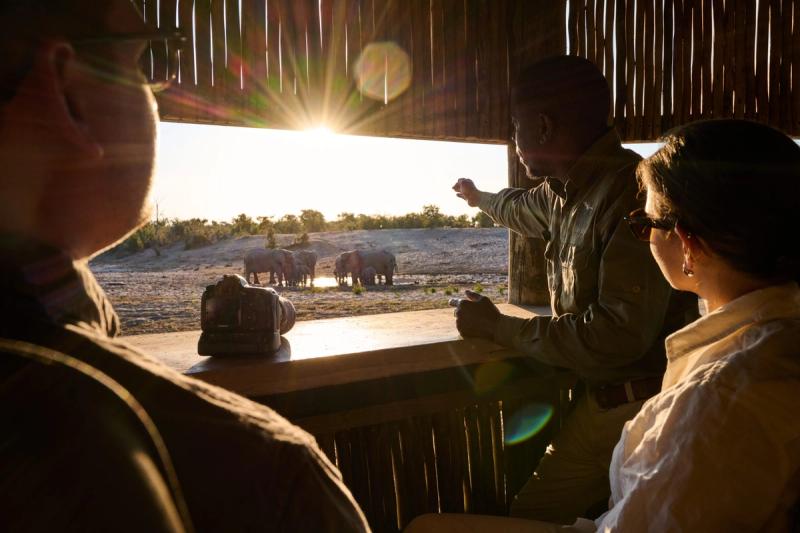 A hide in Botswana gives great angles of elephants drinking from a waterhole