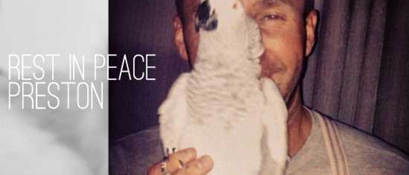 A Tribute To Preston The Parrot