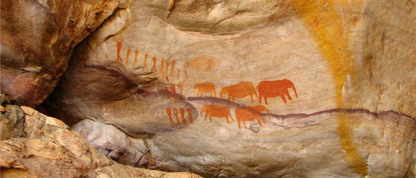 Cederberg: Die besten Aktivitäten