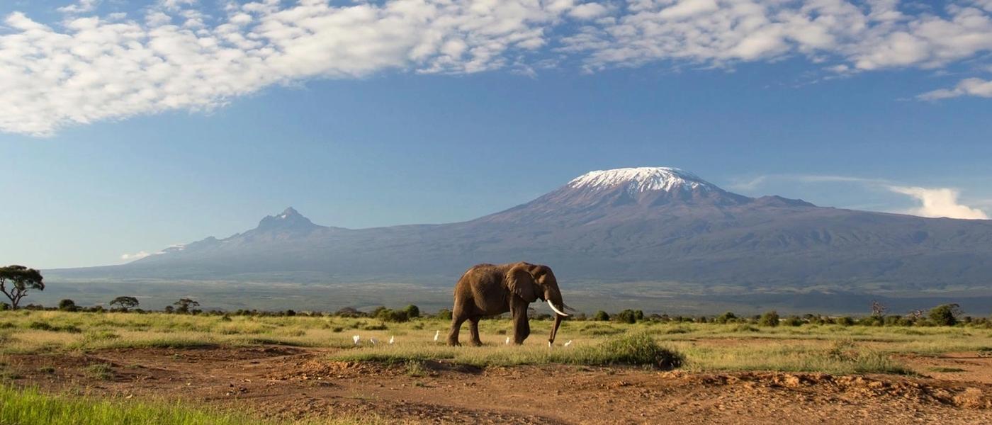 From Savannah to Jungle: The Best National Parks in Africa