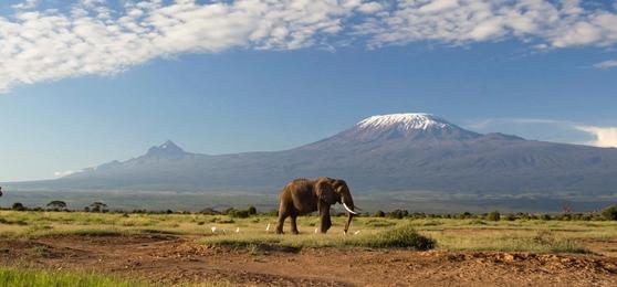 De la Sabana a la Selva: Los Mejores Parques Nacionales de África