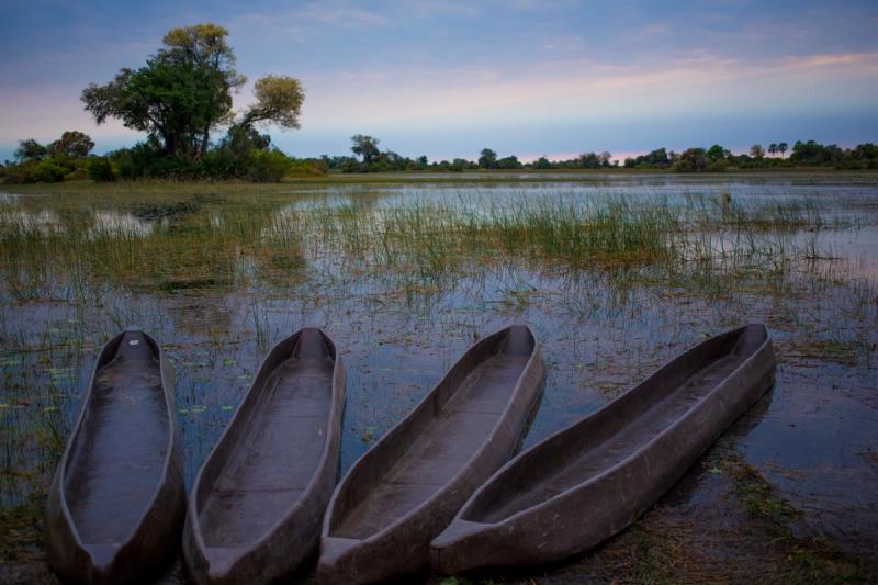 Mokoro line the riverbed in Botswana