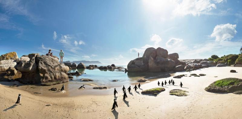 A sandy beach dotted with boulders, where African penguins waddle past sunbathers under a bright blue sky - unique places to travel