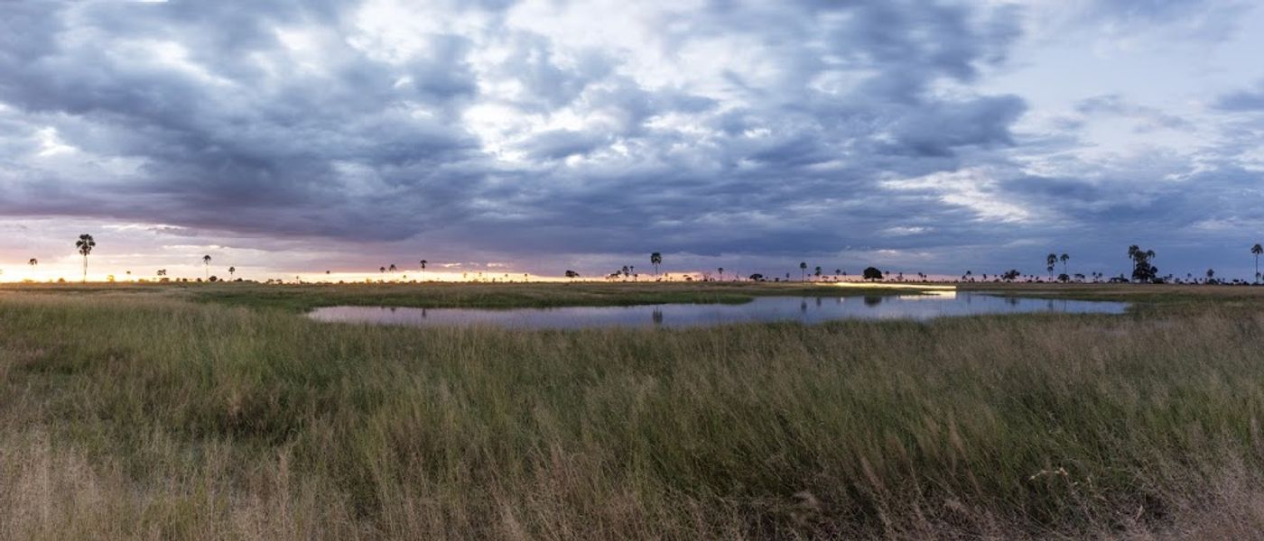Botsuana en 10 fotos: descubre el África más salvaje