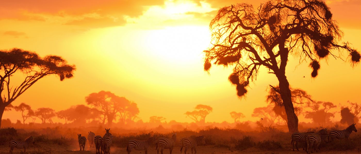 Ein typischer Tag auf Safari in Afrika