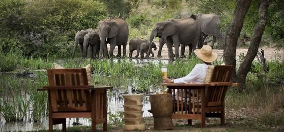 Where To Go On Safari Away From The Crowds And Why