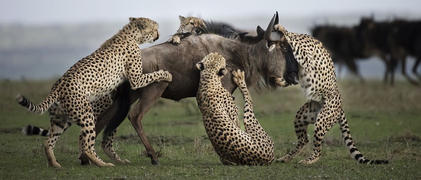 Conheça o vencedor do Africa's Photographer of the Year 2017
