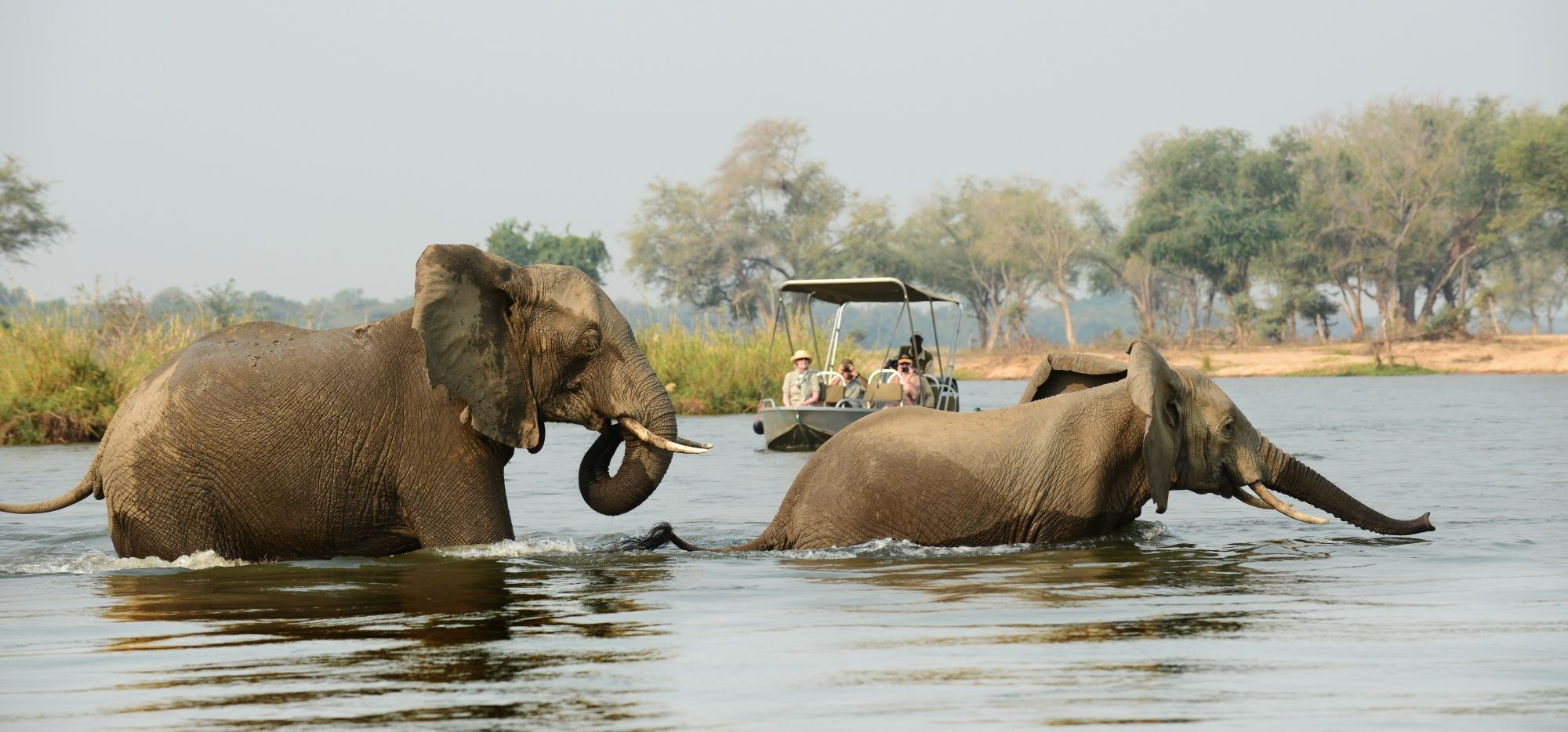 Zambezi River Experiences
