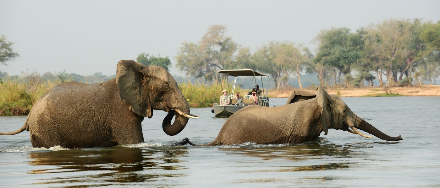 Zambezi River Experiences