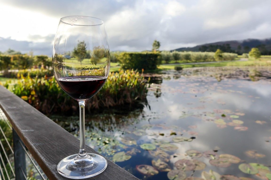 The hidden gem that is the Plett Wine Route