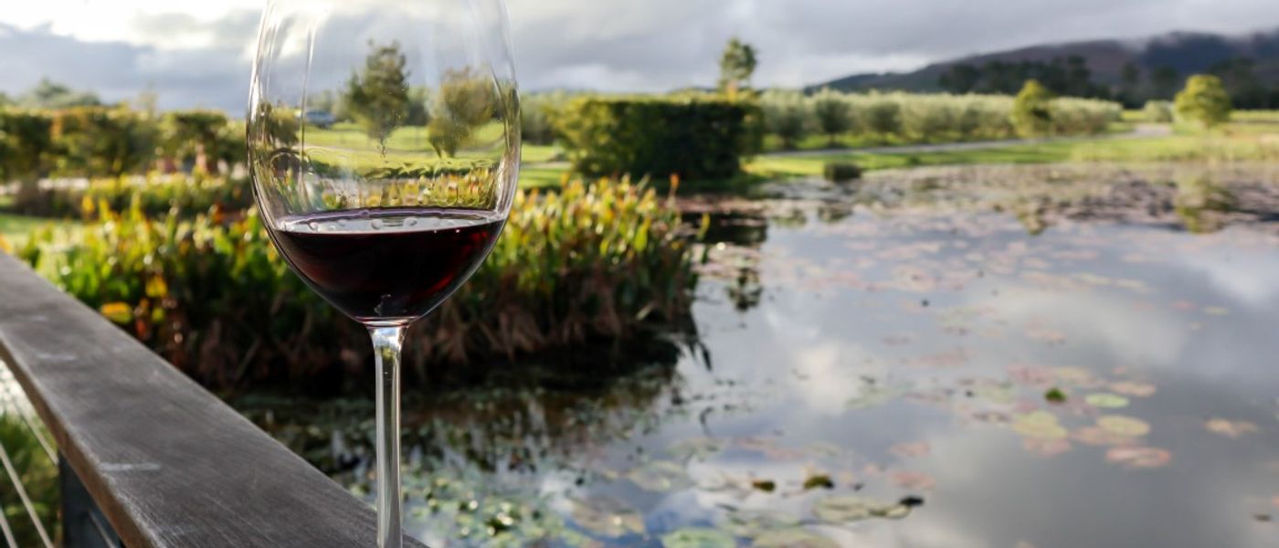 The hidden gem that is the Plett Wine Route
